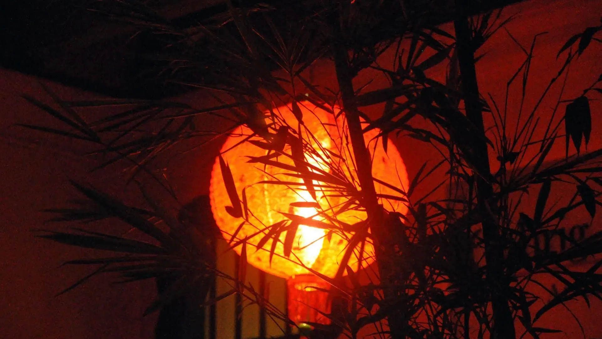 咖啡画室酒店 乔治敦